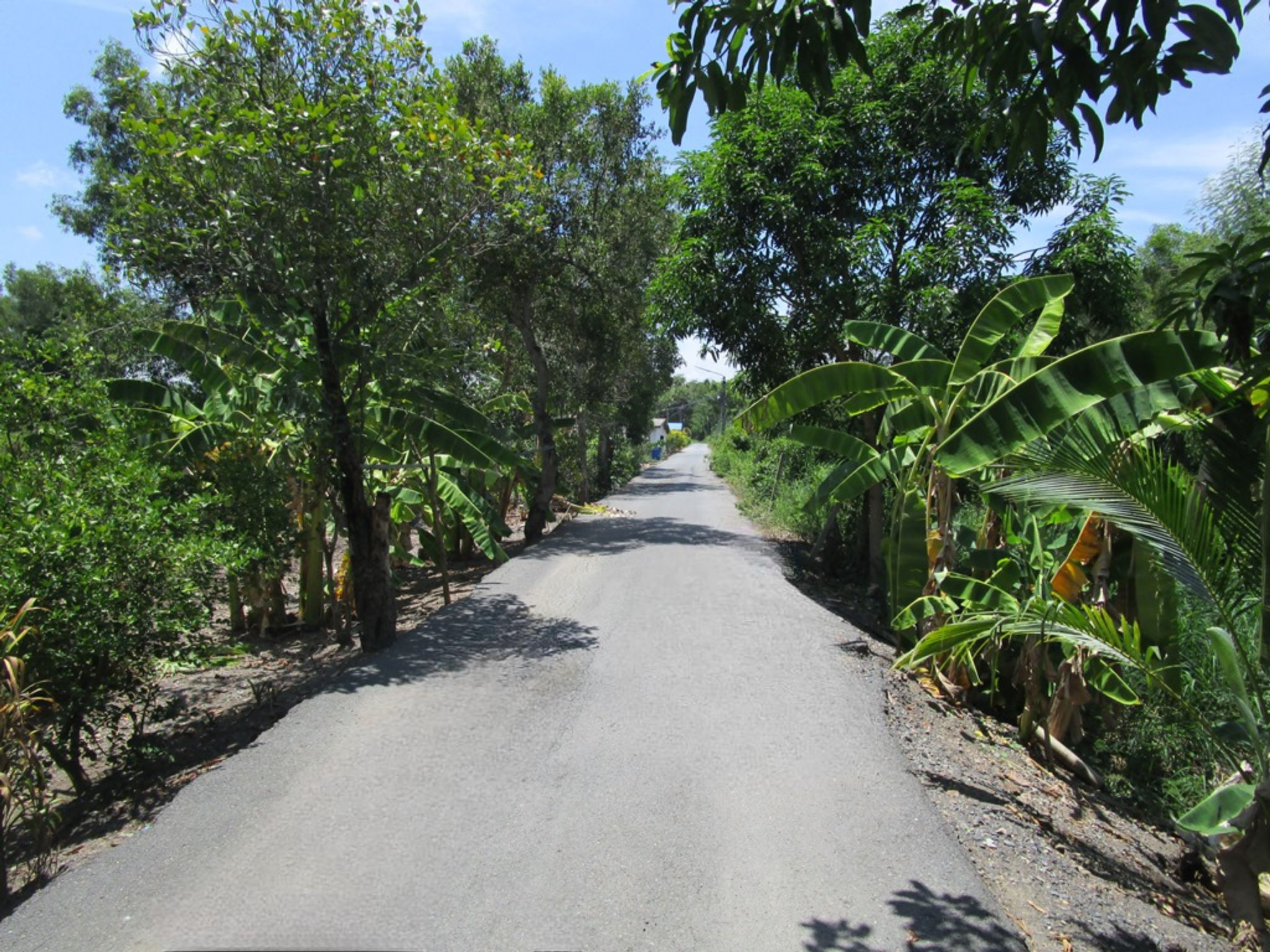 image (15).png