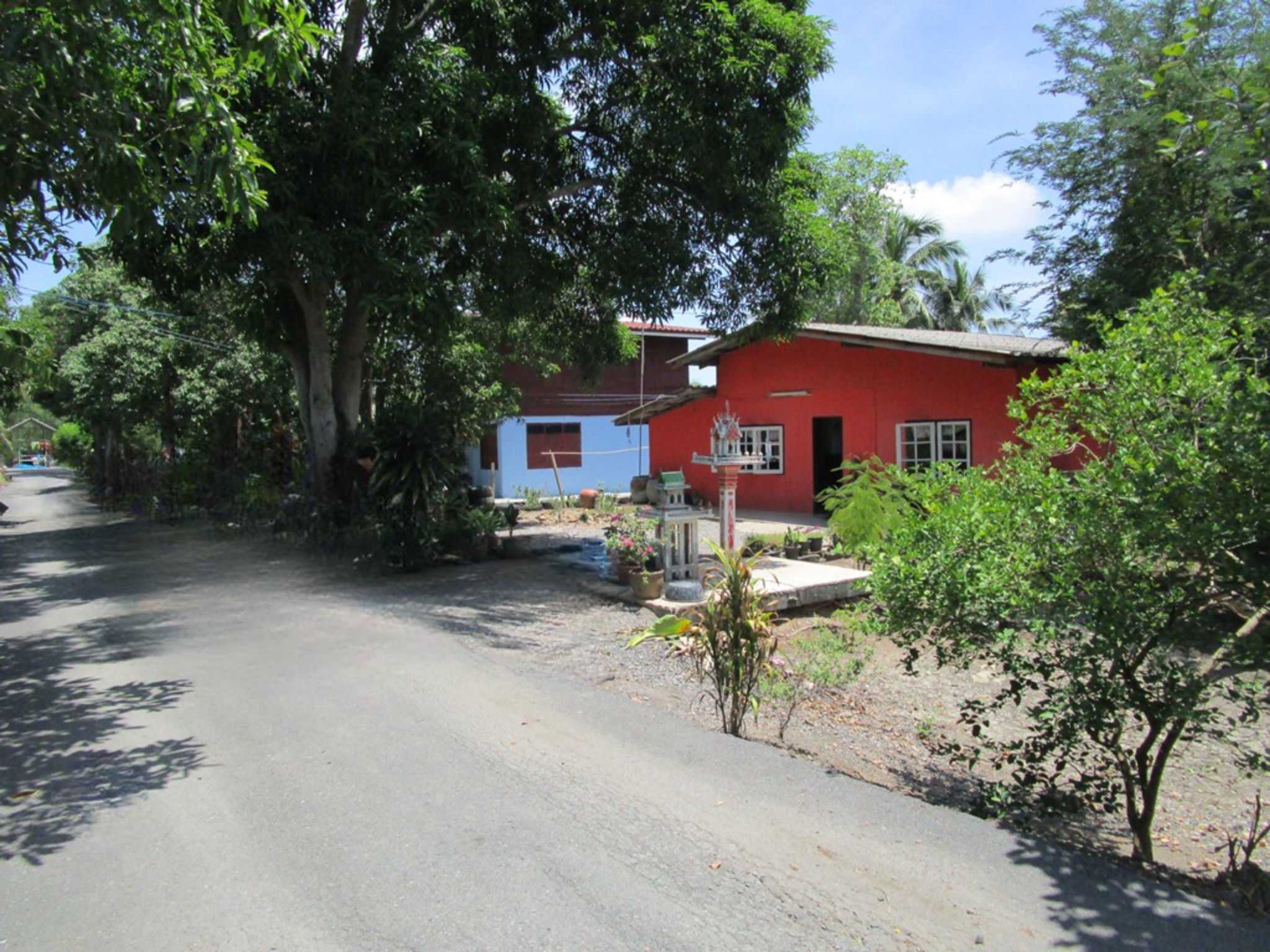 image (12).png