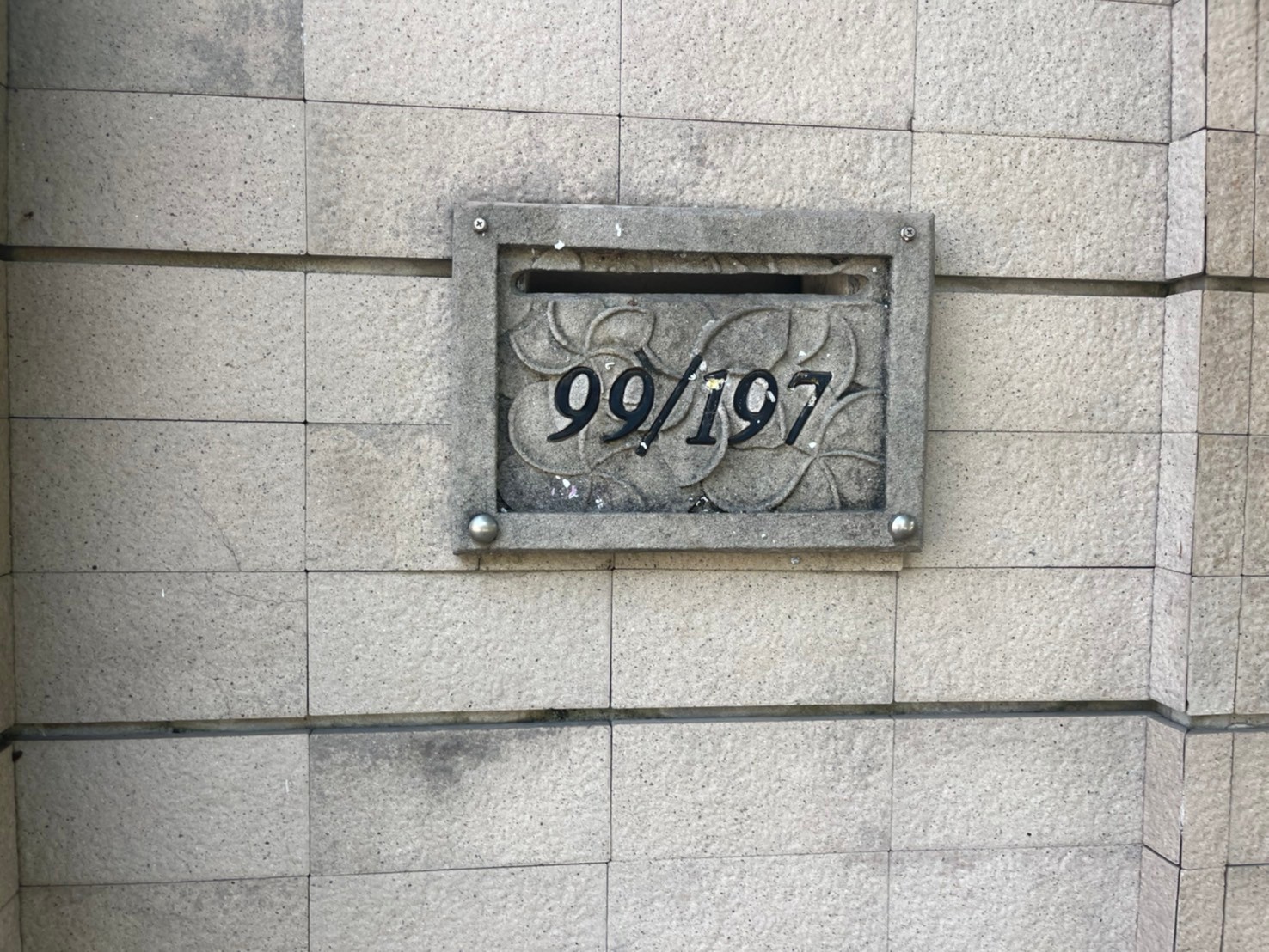 1712625747566.jpg