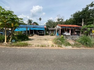Picture6.jpg