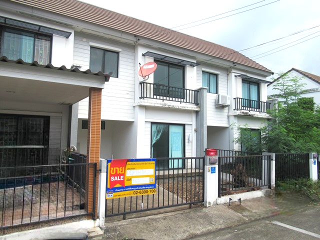 image (13).png