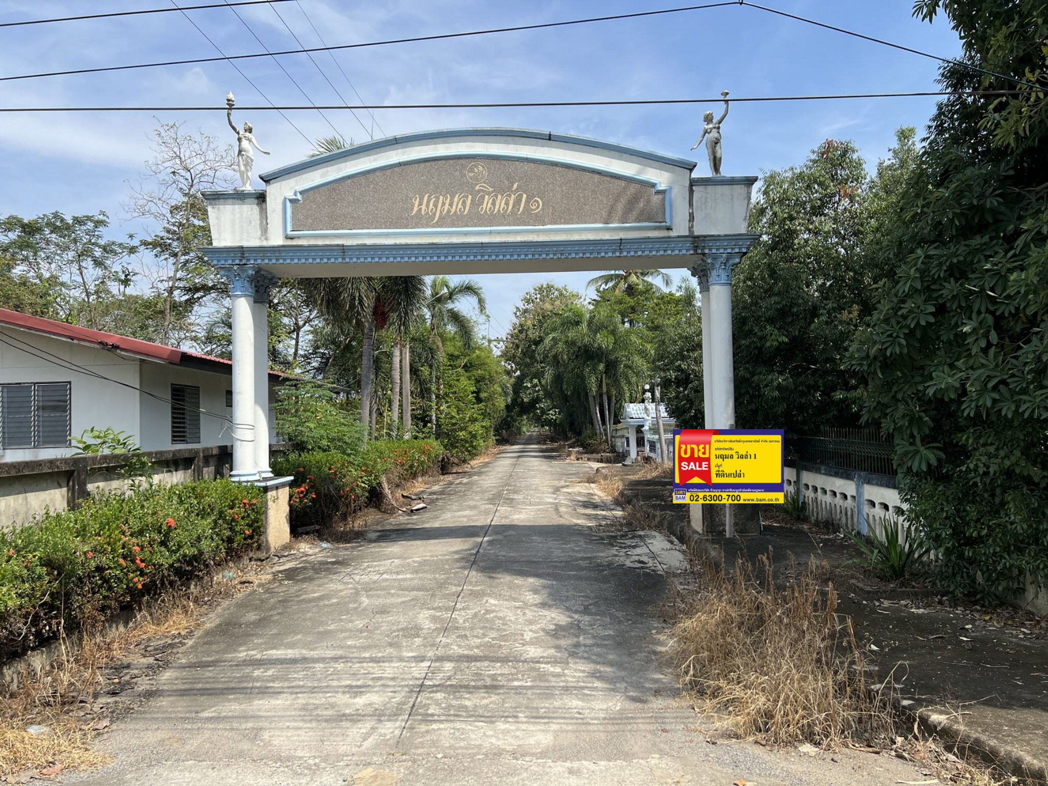 ที่ดิน บึงบาใต้(คลองซอยที่ 10 ฝั่งตะวันออก) หนองเสือ ปทุมธานี