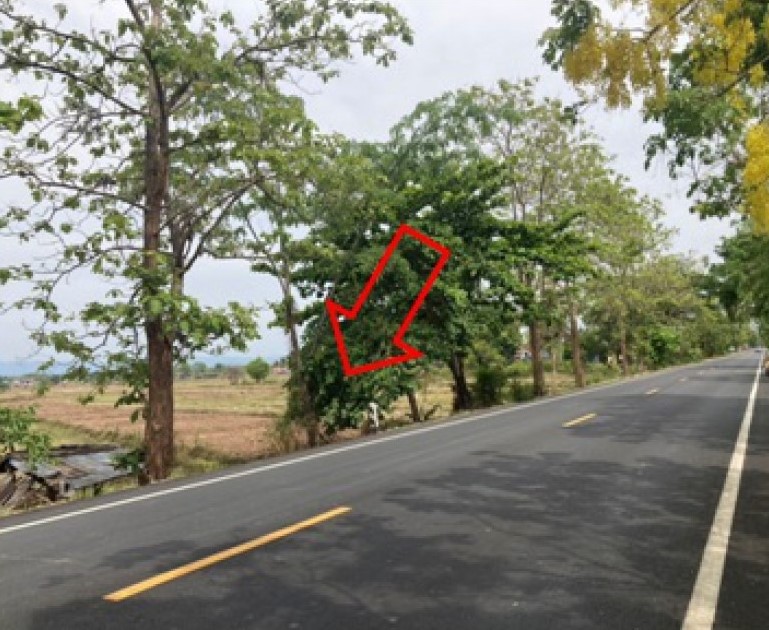 สไลด์3.JPG