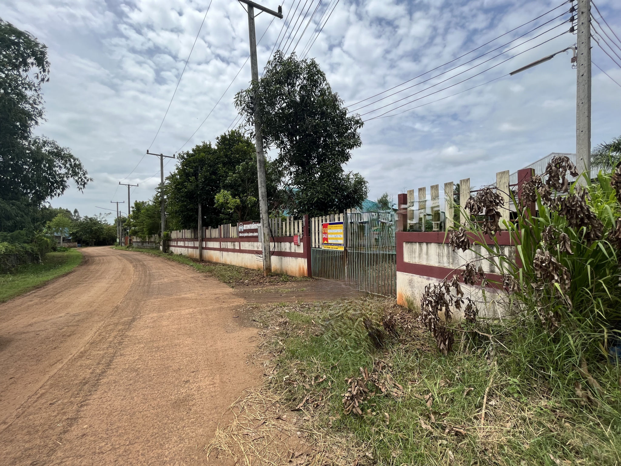 982ca920-65522-0.jpg