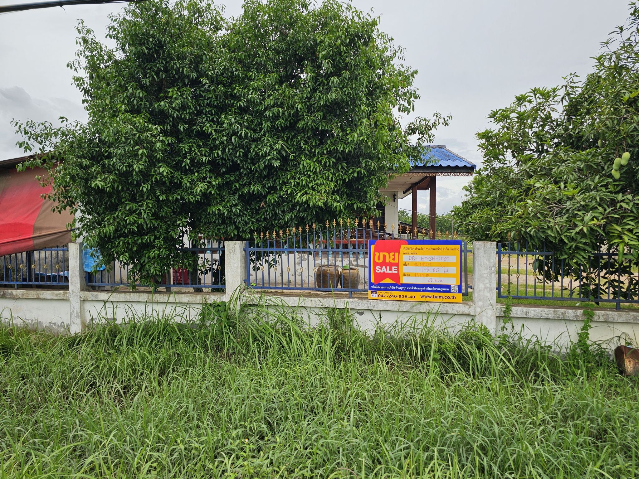 20250627_125736.jpg