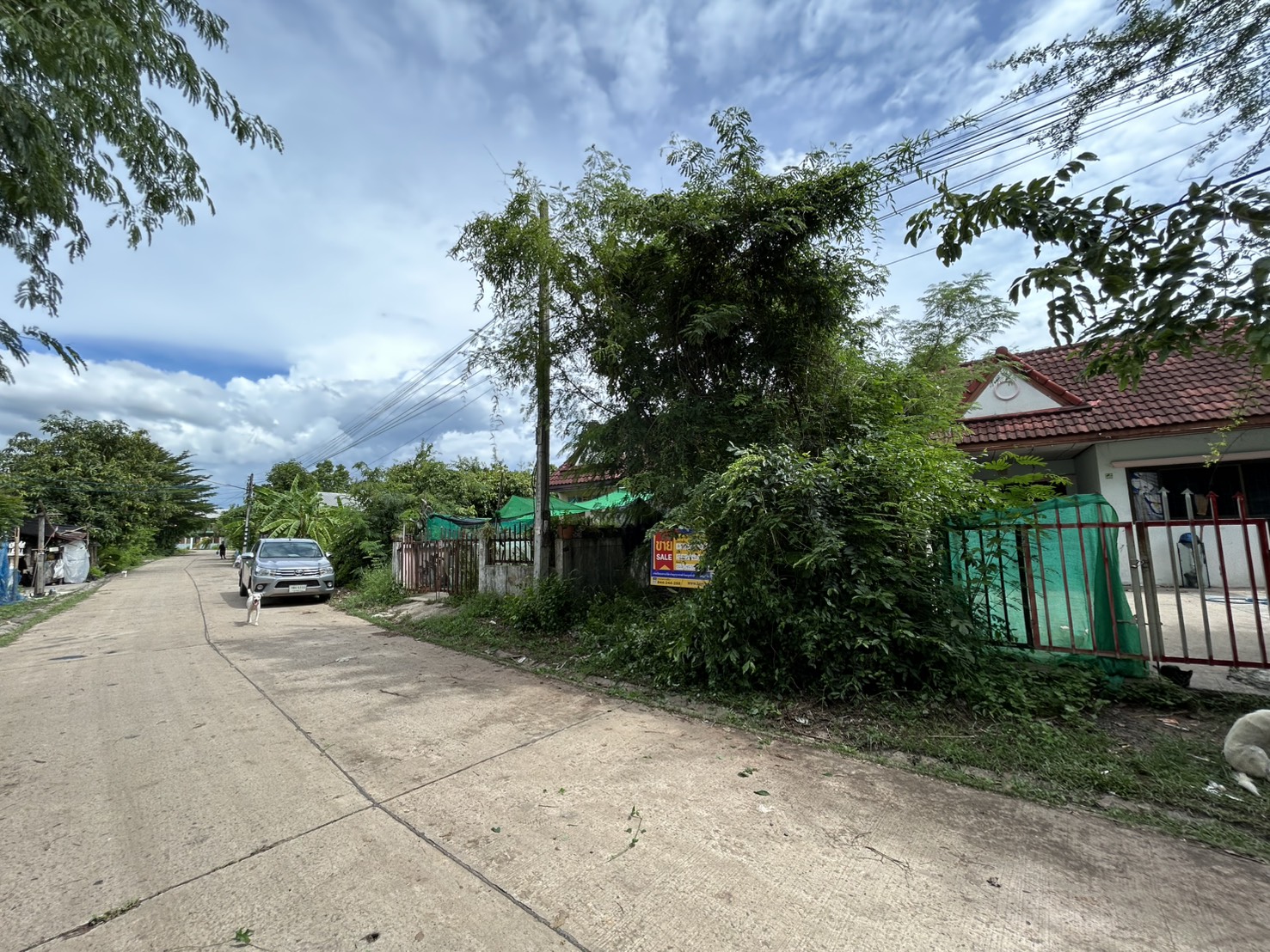S__81903743_0.jpg