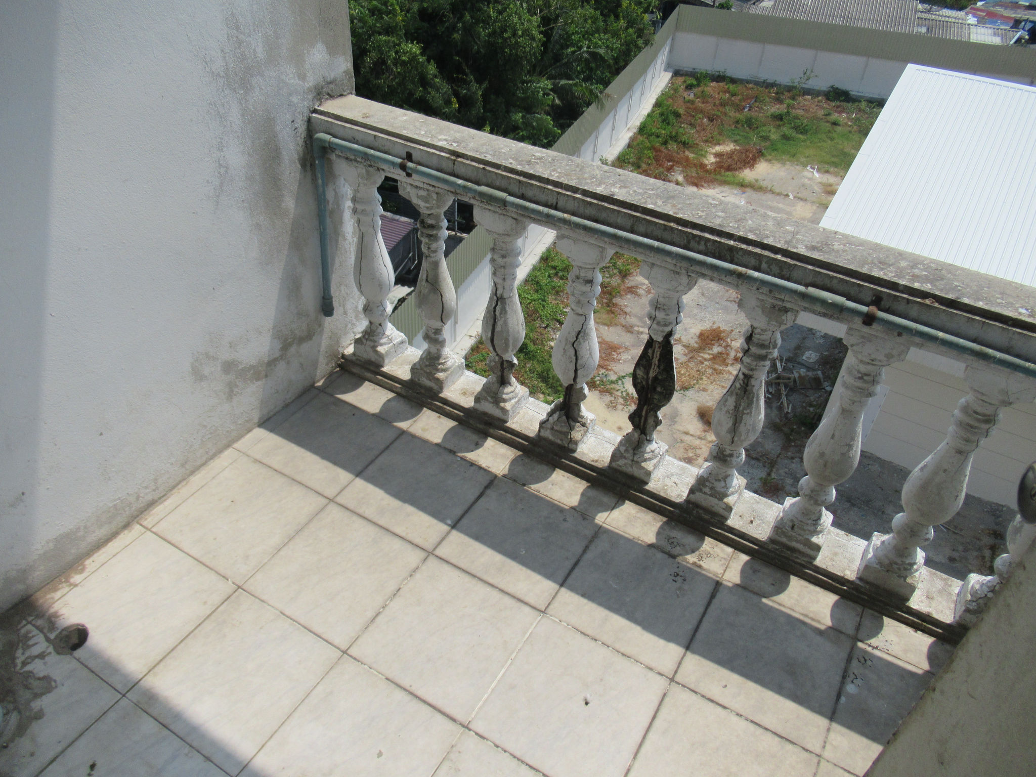 IMG_5537.JPG