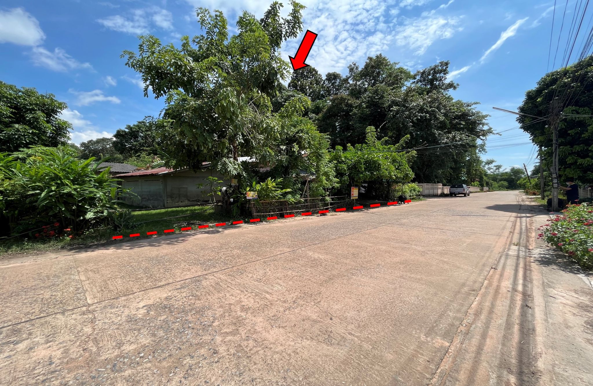 หน้าทรัพย์ 1478.jpg