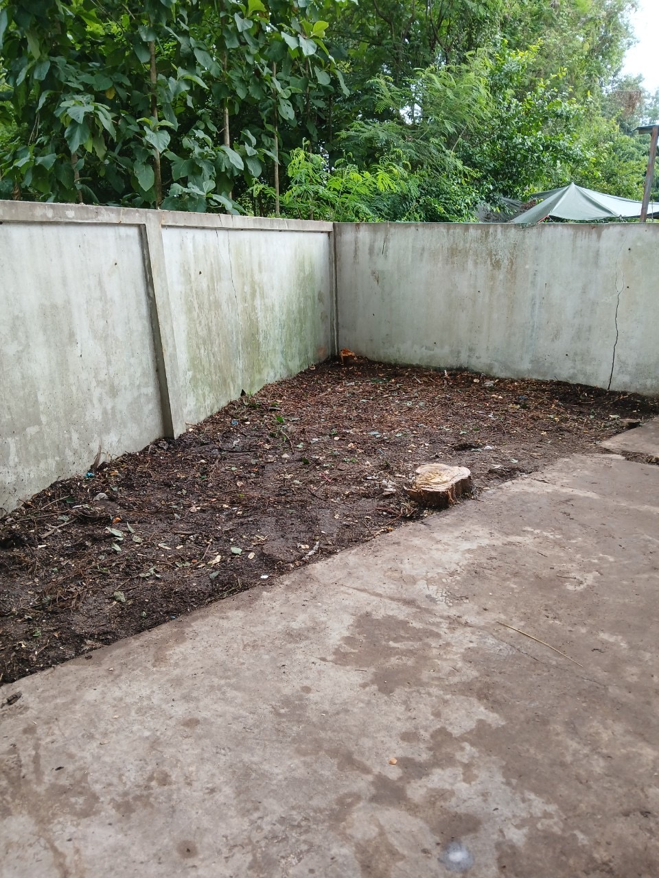 Image - 2024-09-13T142431.271.jfif