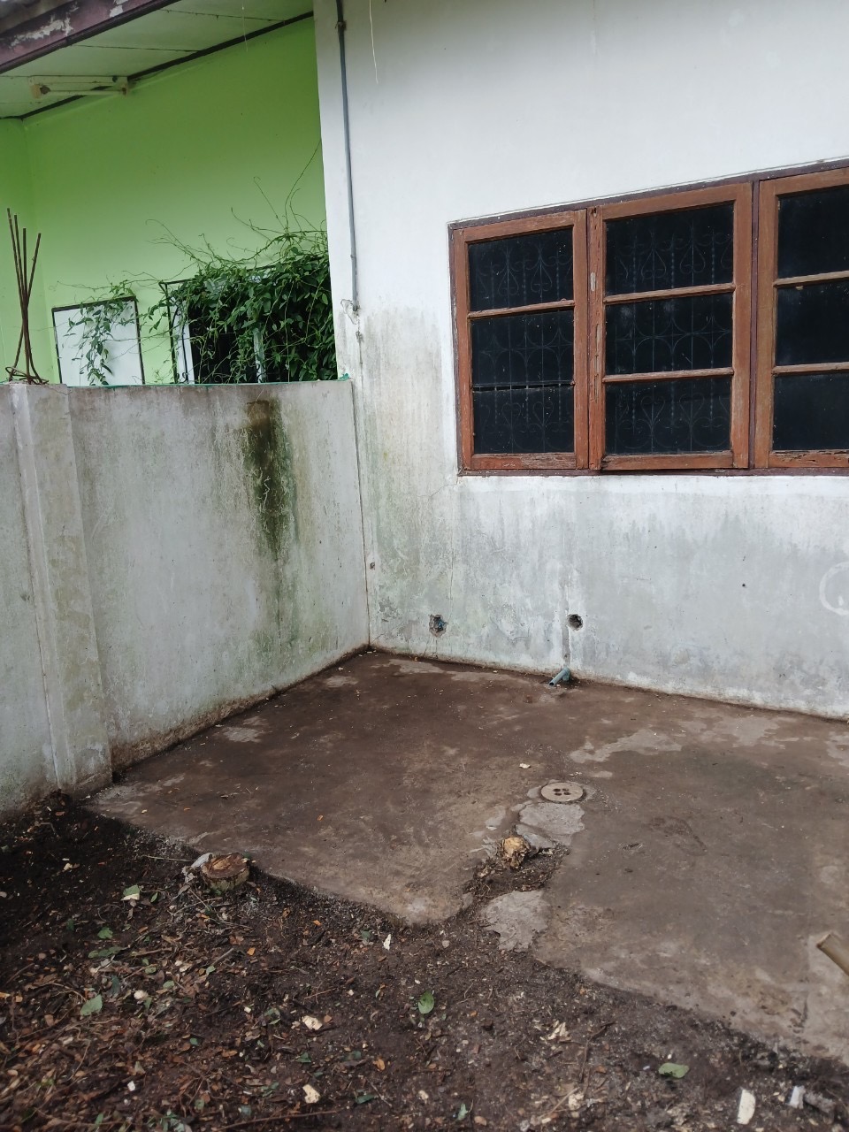 Image - 2024-09-13T142437.198.jfif