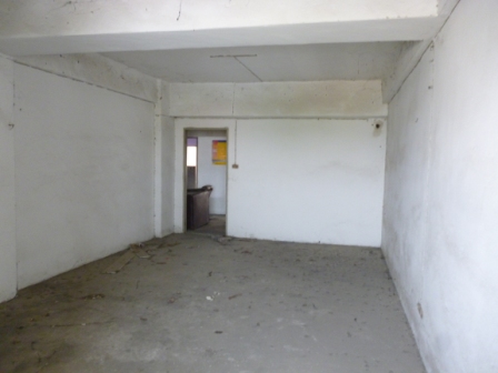 P1100864.JPG
