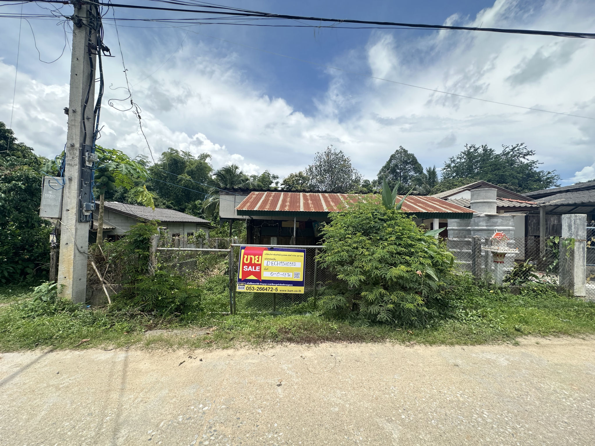 IMG_9569.jpeg