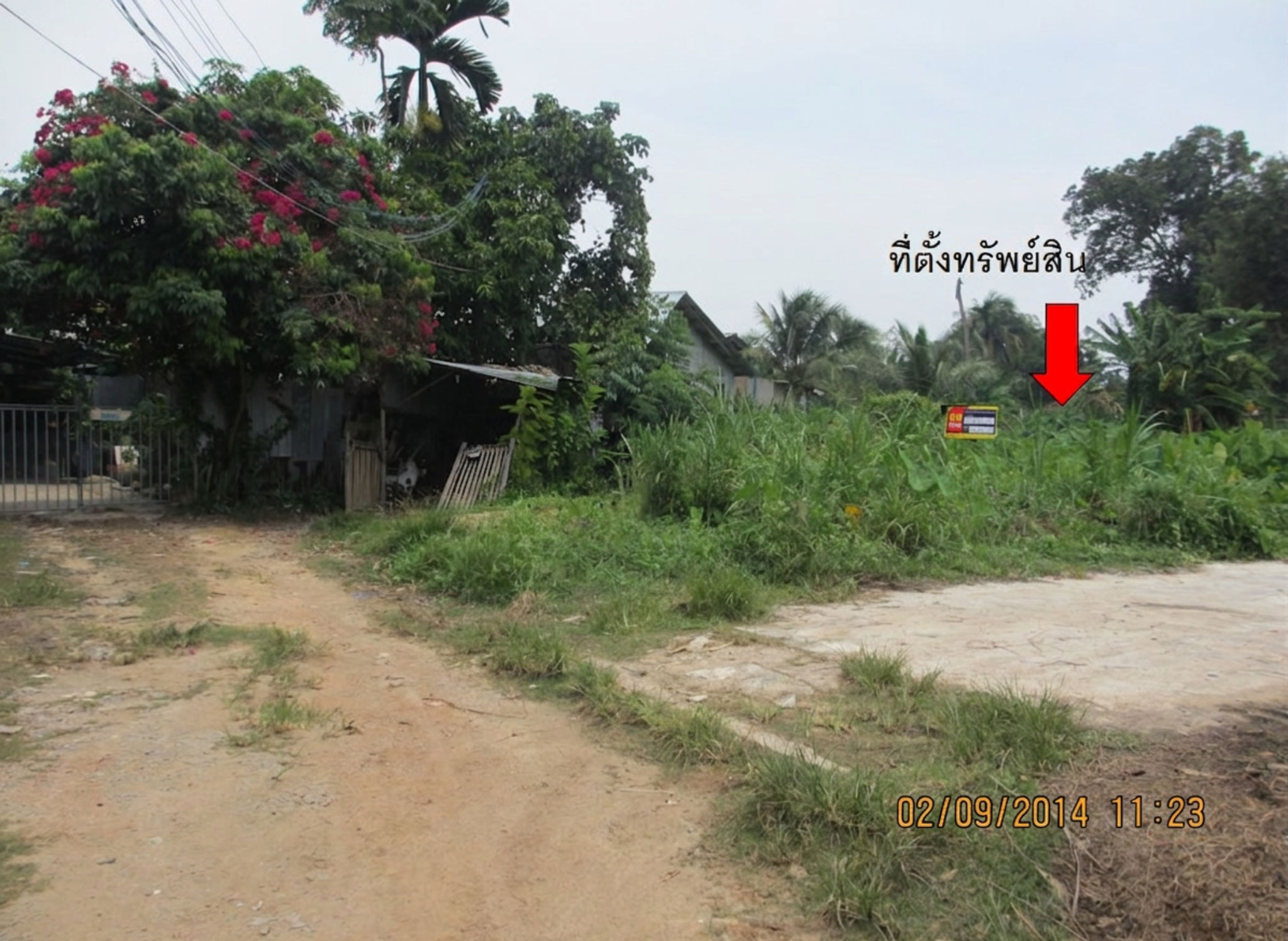 ที่ดิน บ่อยาง  สงขลา