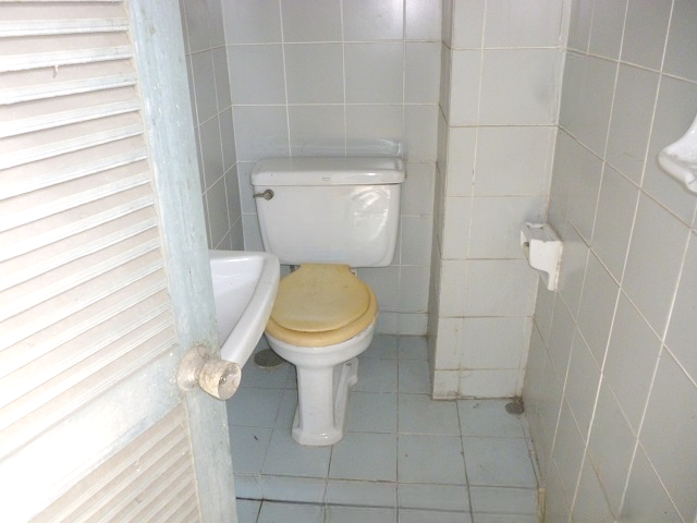 image (13).png