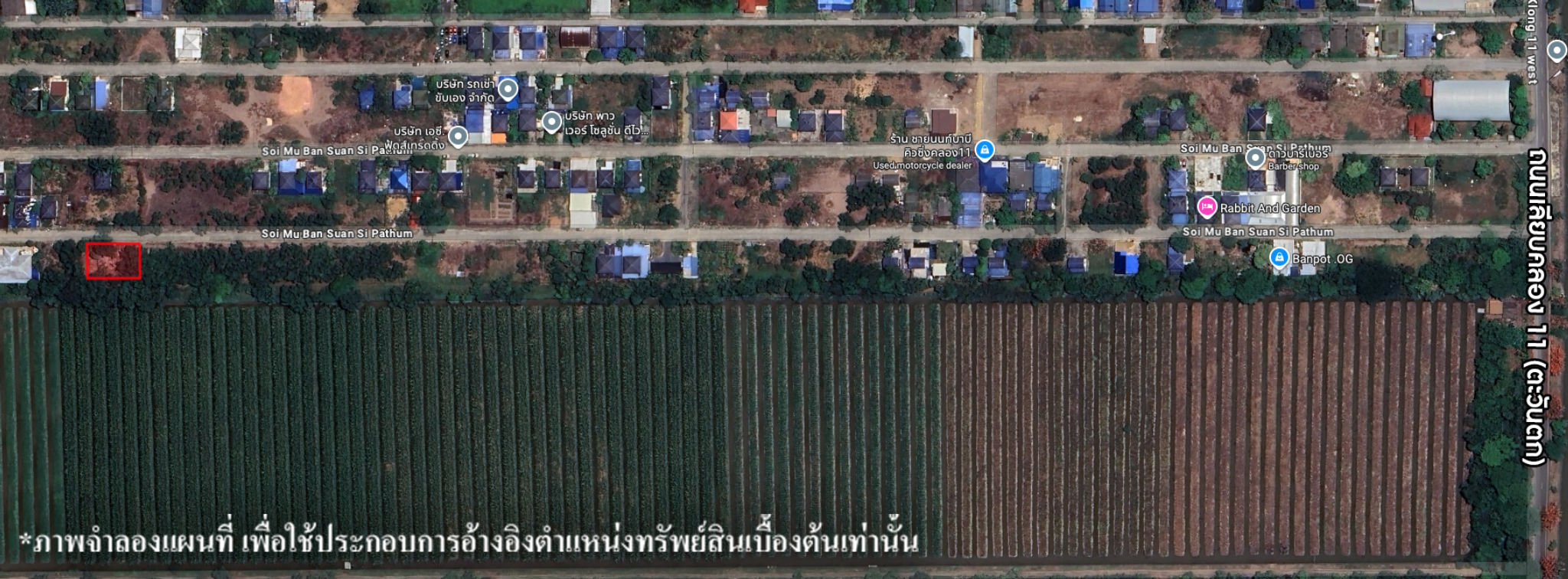 image (113).png