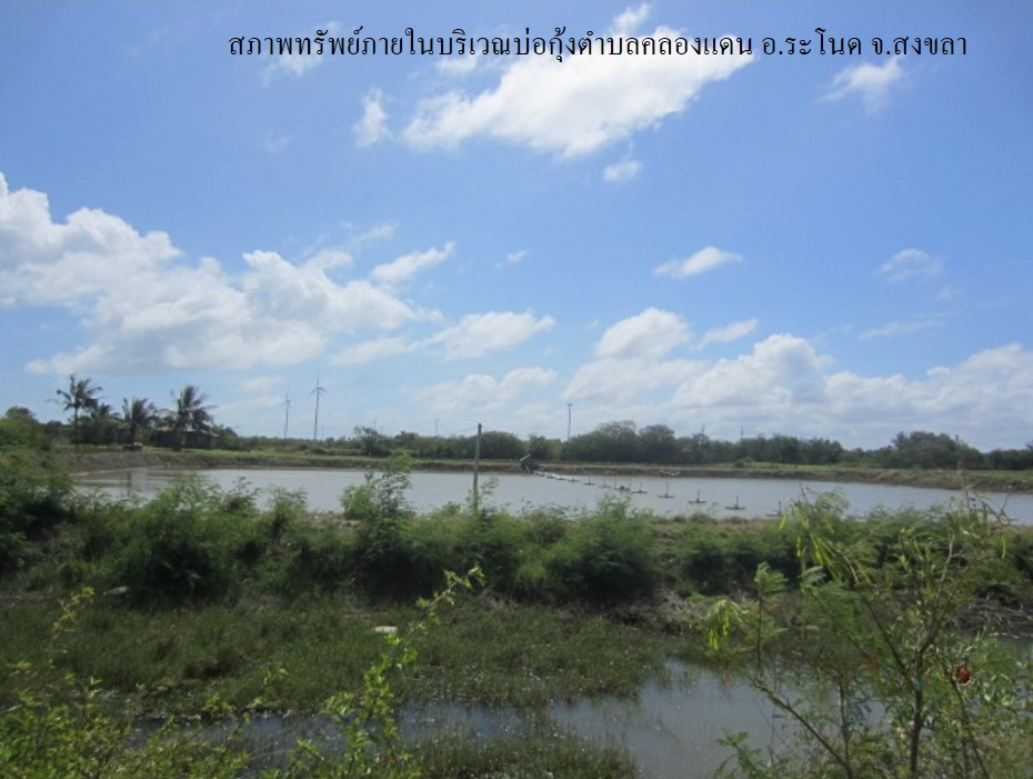 full_20200204083726.jpg