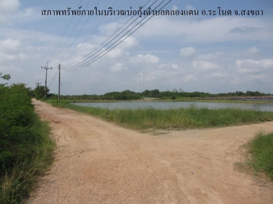 full_20200204083718.jpg