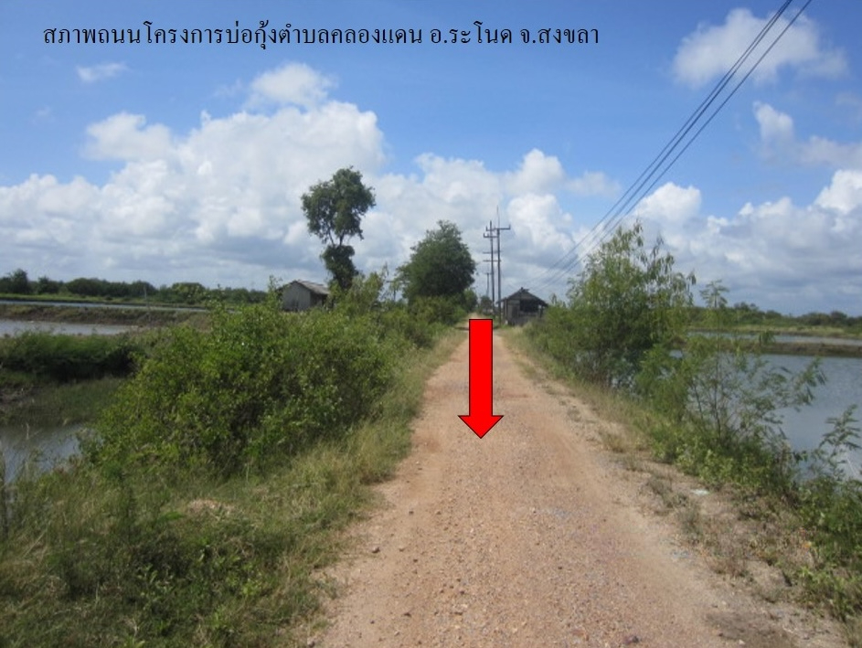 full_20200204083712.jpg