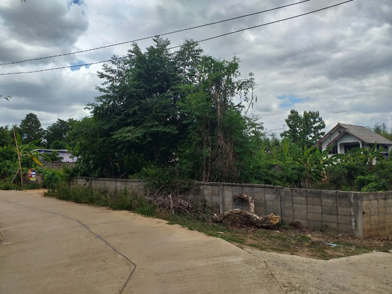 full_20190718164553.jpg