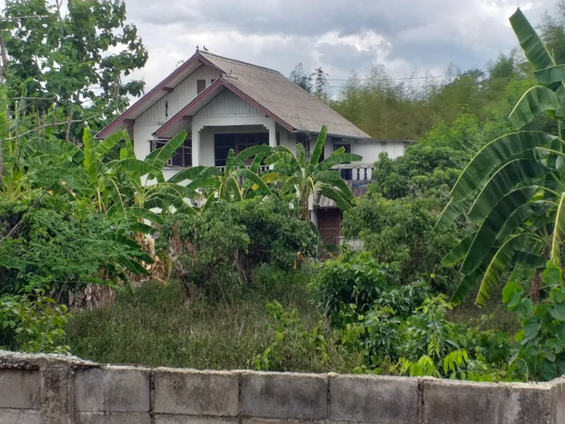 full_20190718164635.jpg