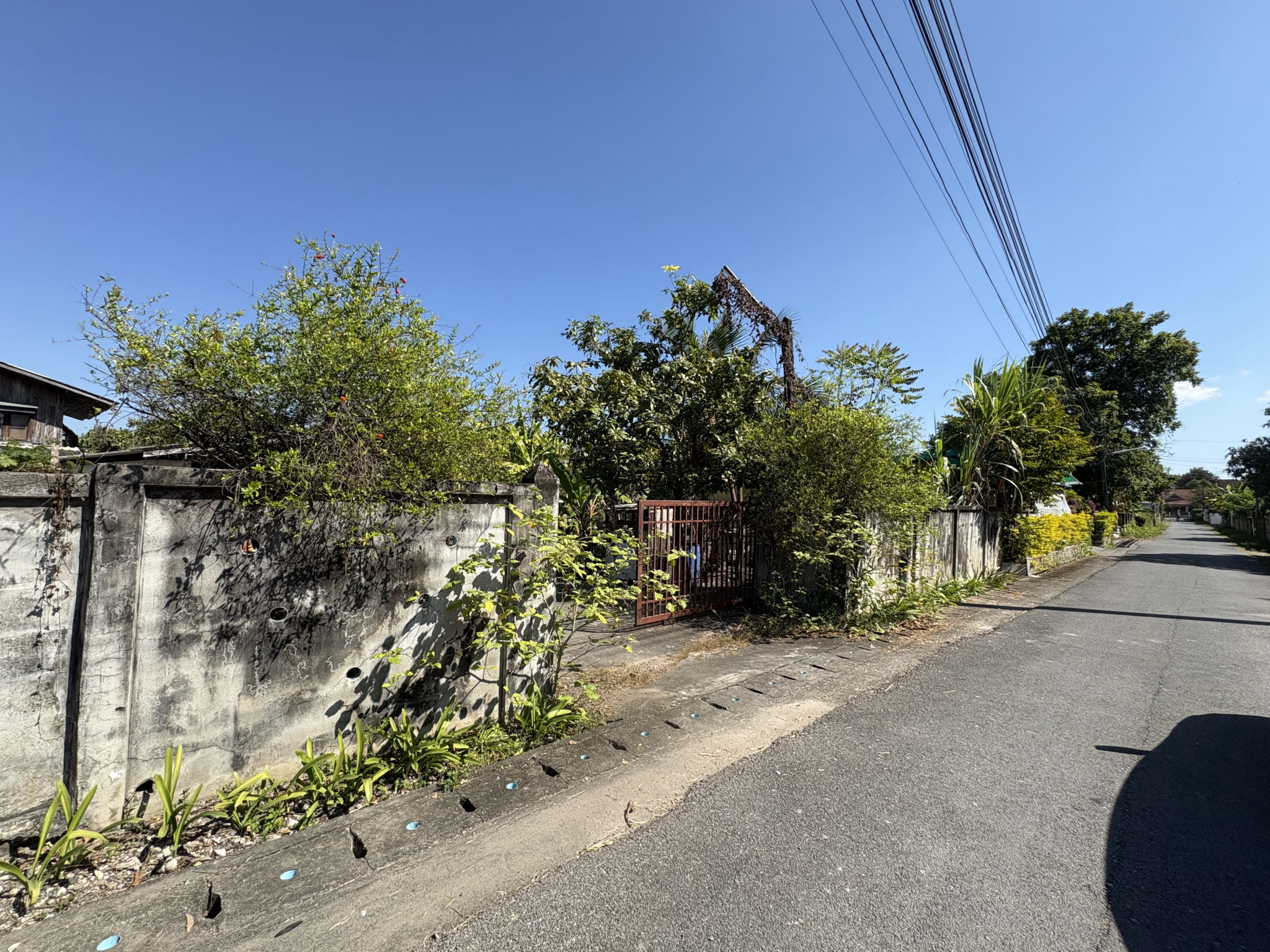 IMG_0561.jpeg