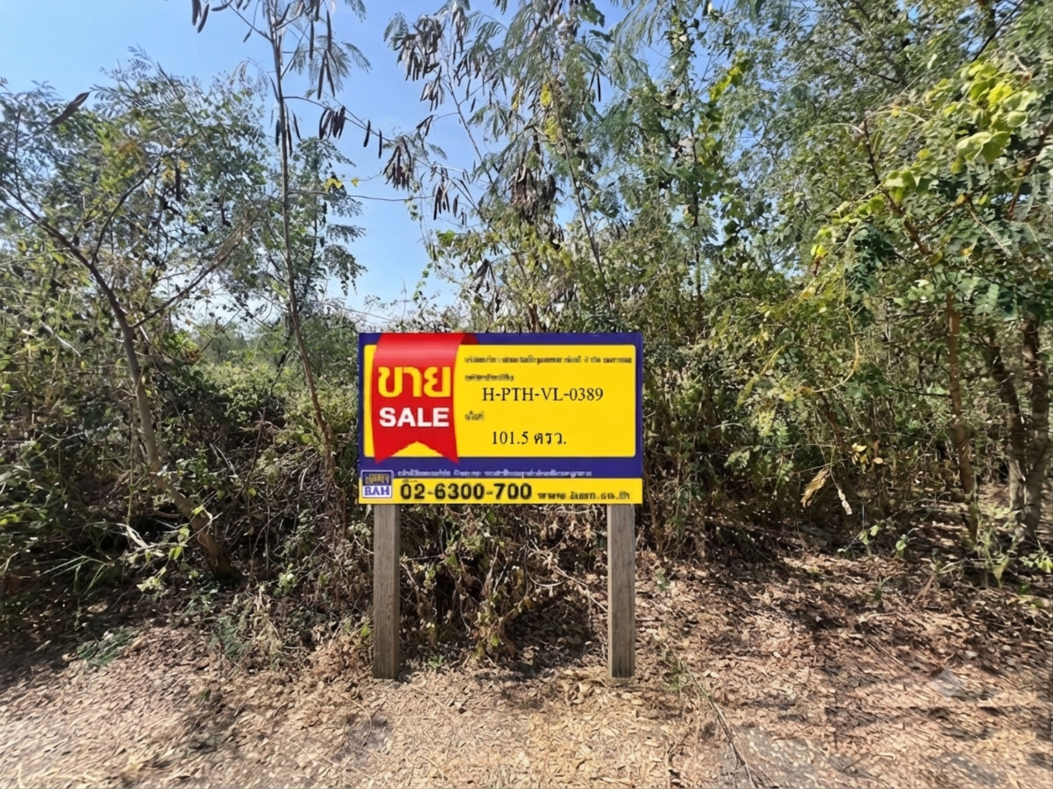 ที่ดิน บึงบา(คลอซอยที่ 9 ฝั่งตะวันออก) หนองเสือ ปทุมธานี