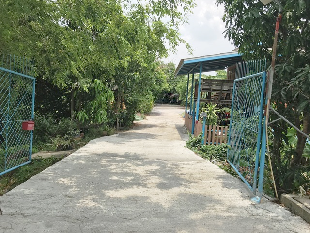 image (16).png