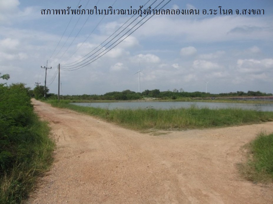 full_20200204092254.jpg