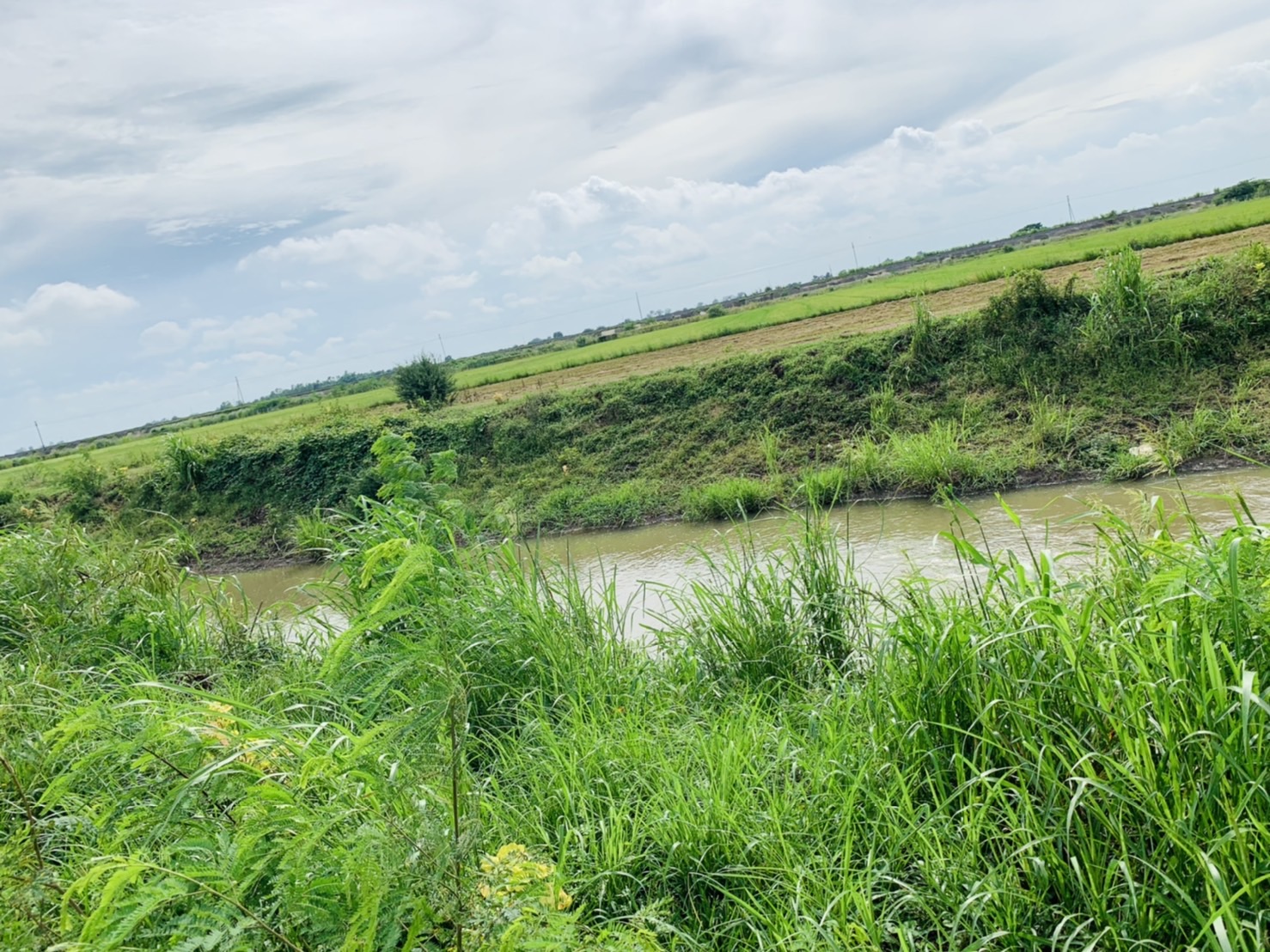 S__5382300.jpg