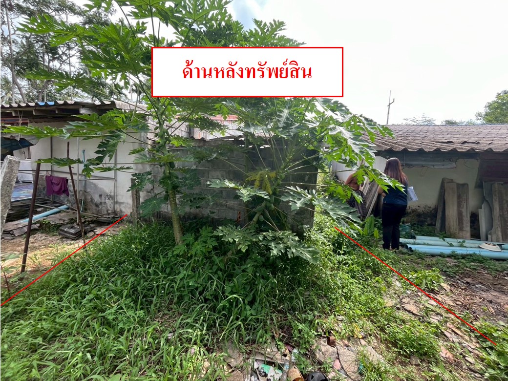 Picture8.jpg