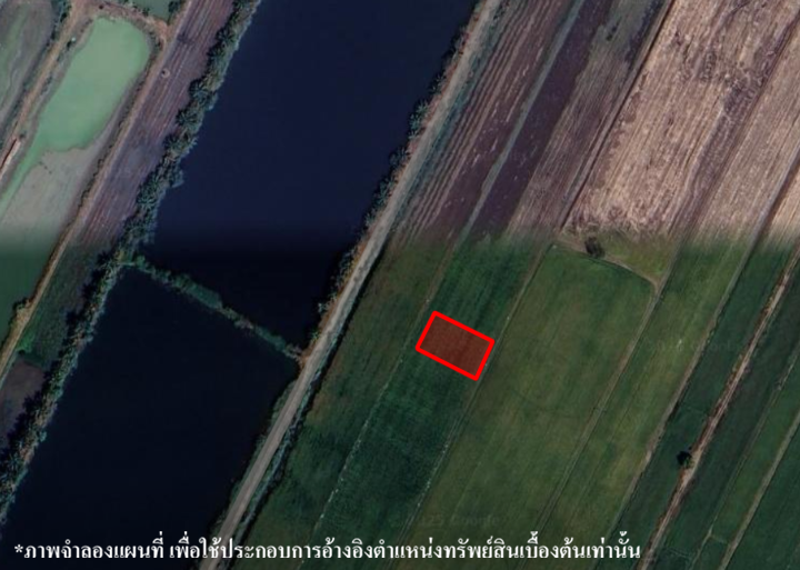 image (24).png