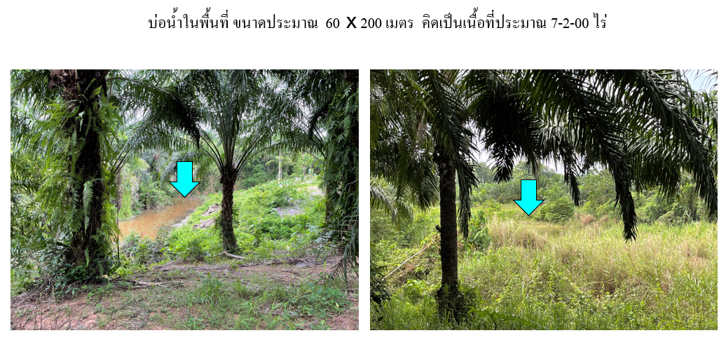 บ่อน้ำ.PNG