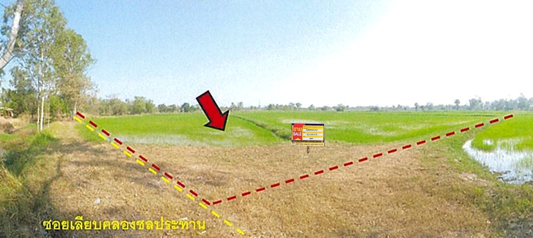 ที่ดิน ยางตลาด  กาฬสินธุ์