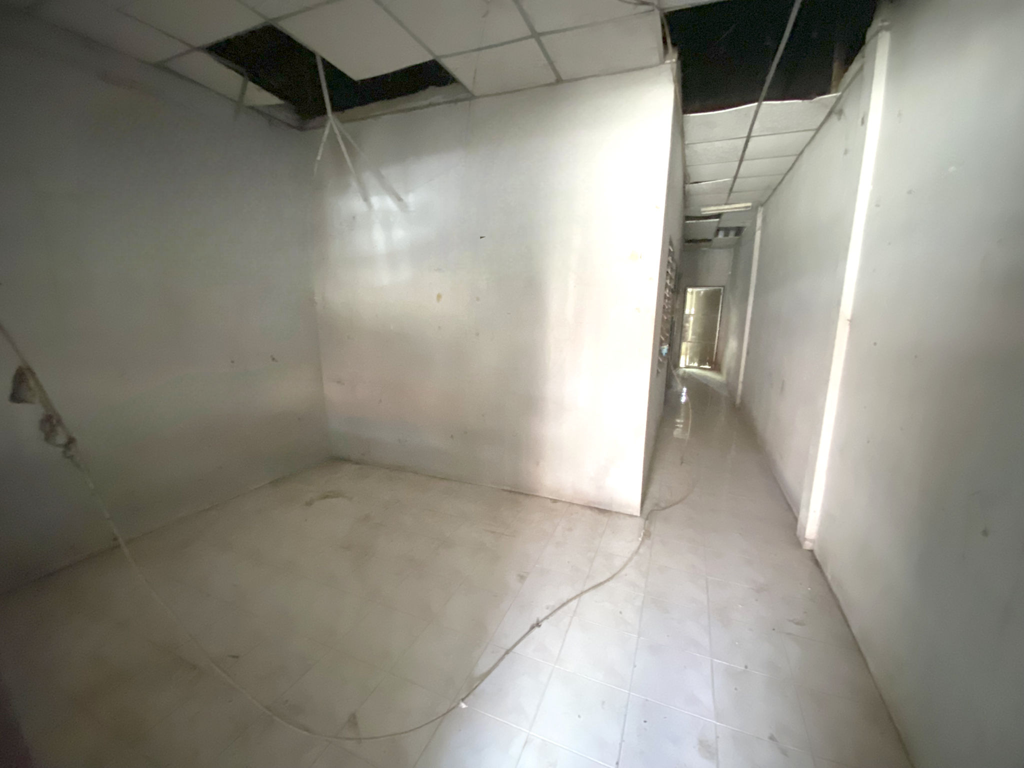 image - 2025-08-22T171039.590.png