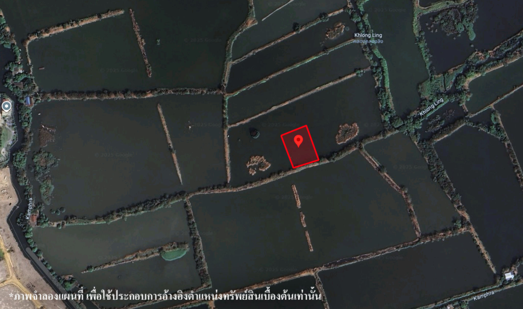 image (50).png