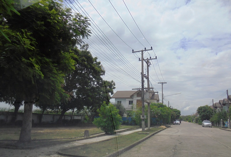 4+DSC09411.JPG