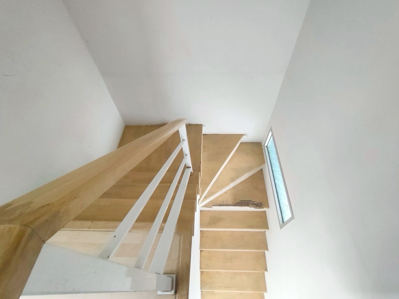 S__56008754.jpg