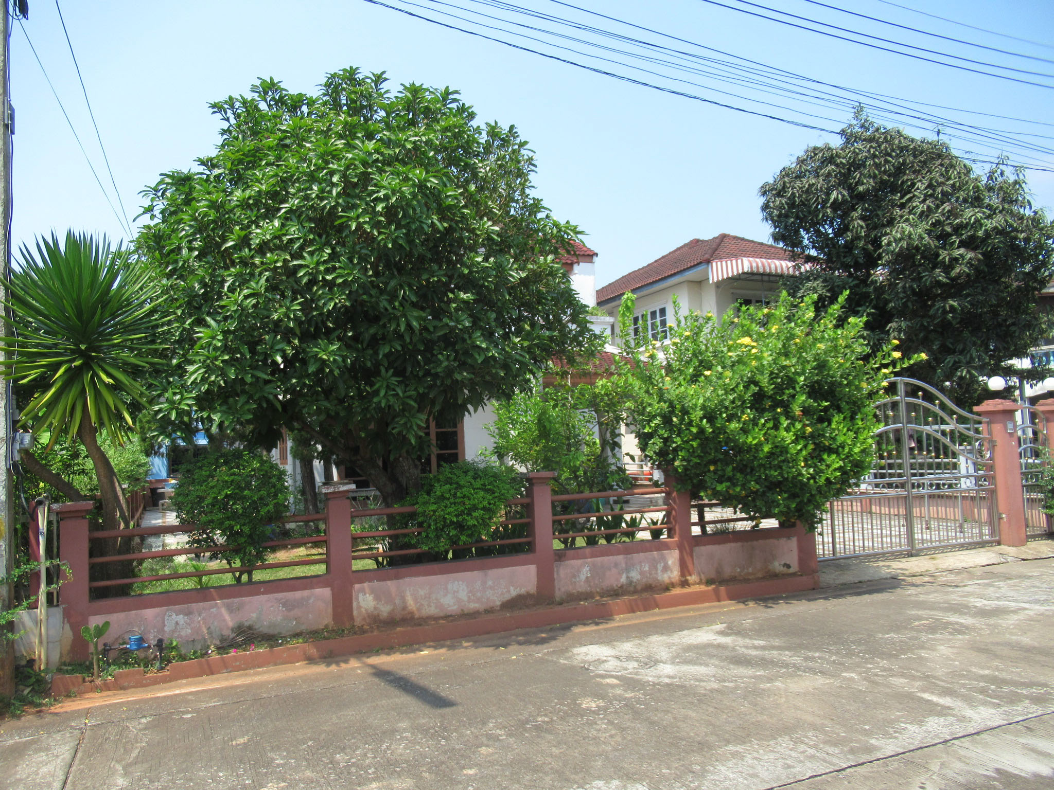 32f66676-IMG_5470.JPG