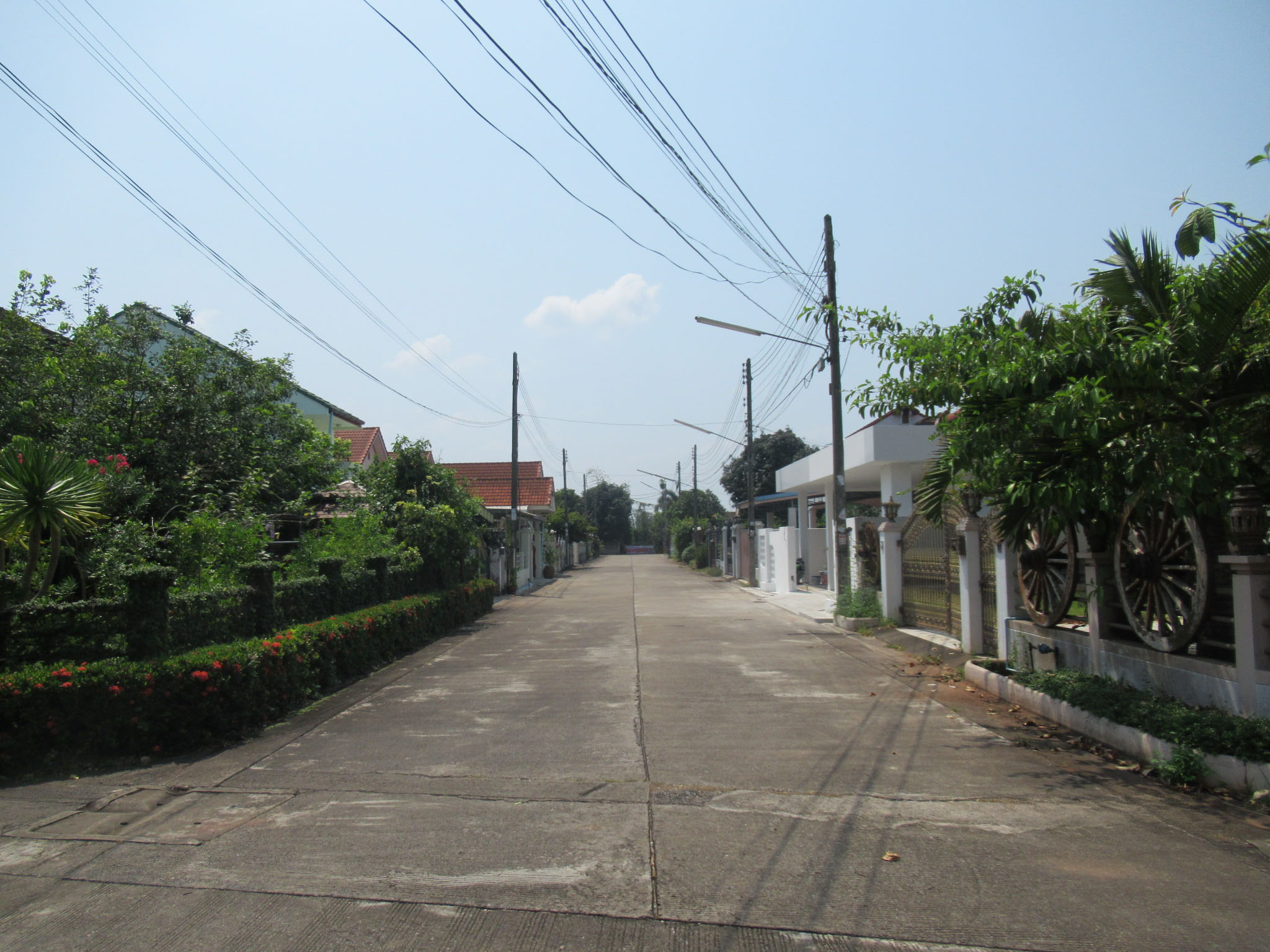 36c73356-IMG_5471.JPG
