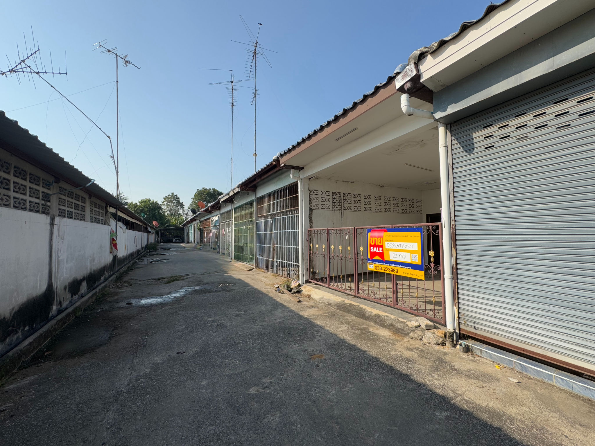 e29ed8b4-55854-5.jpg