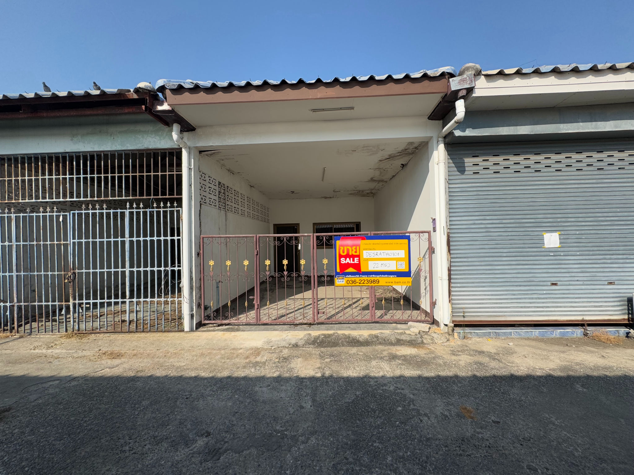 e29ed8b4-55854-4.jpg