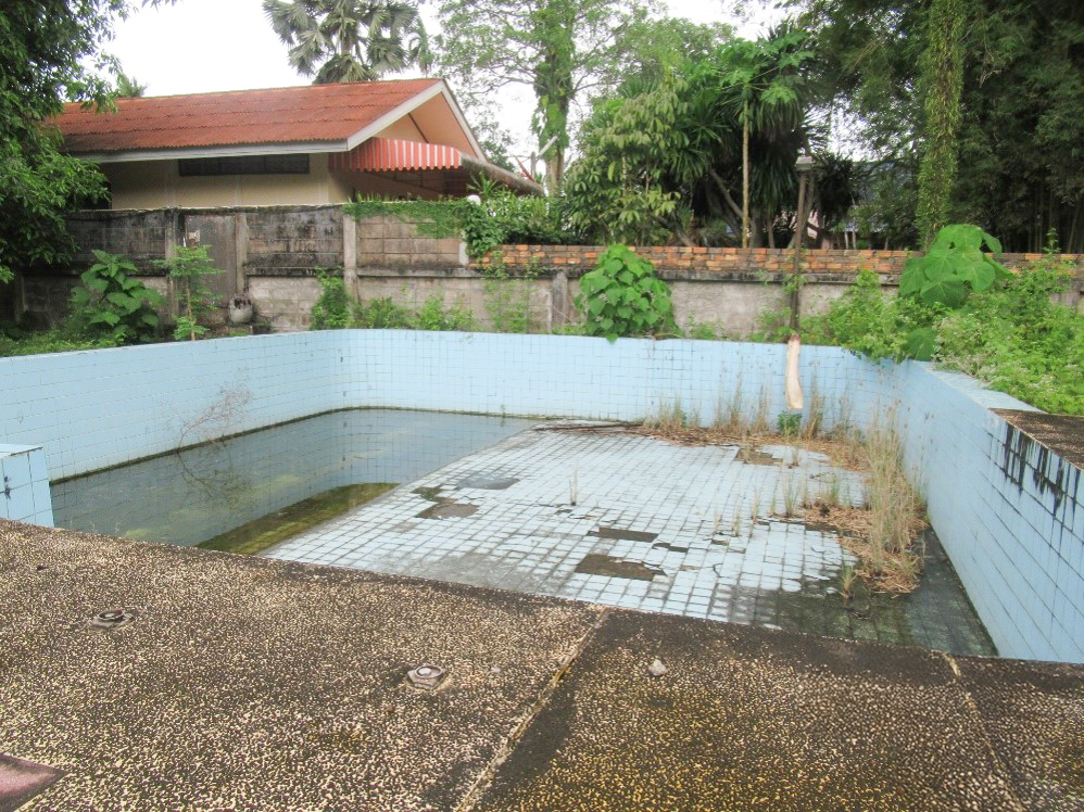 b5096d6a-รูปภาพ17.jpg