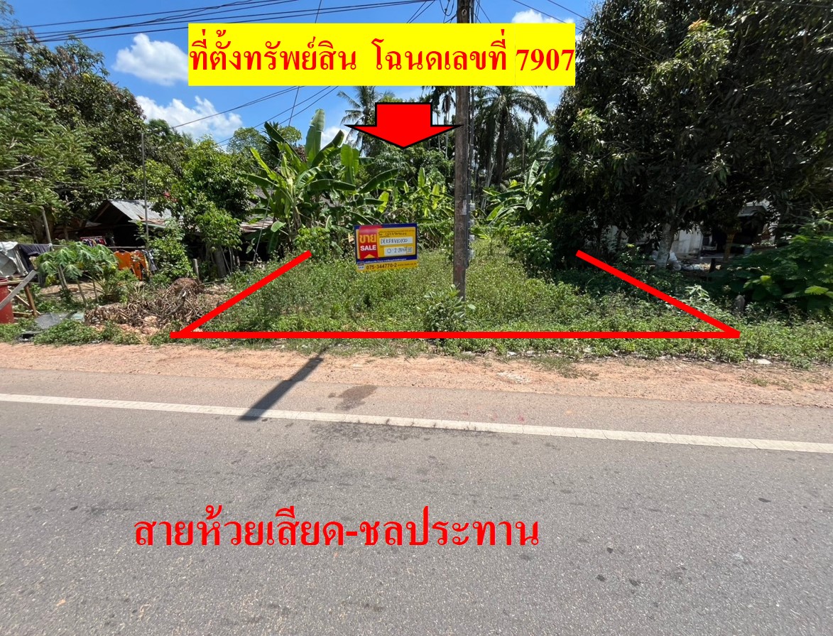 ที่ดิน เขาพนม  กระบี่