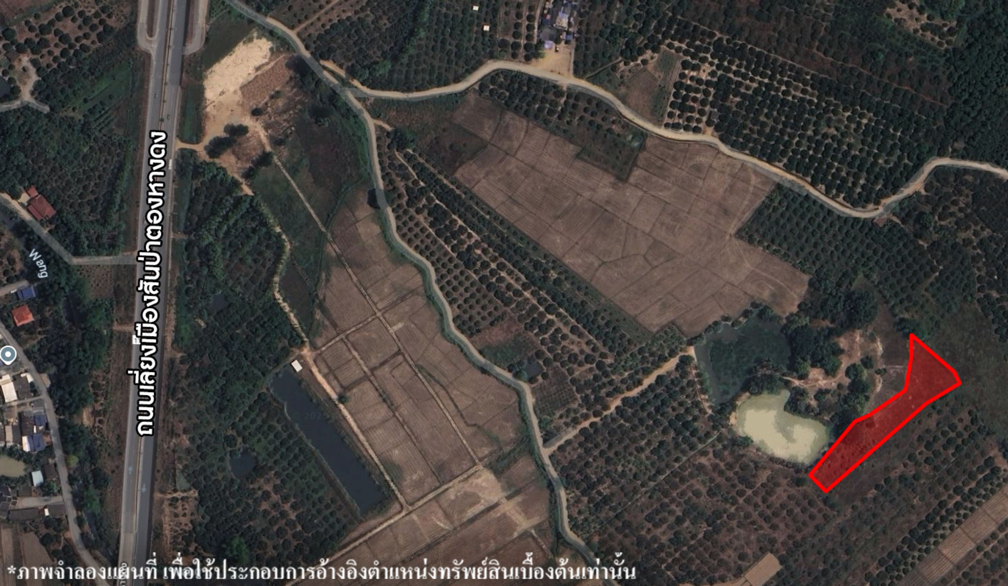 image (703).png
