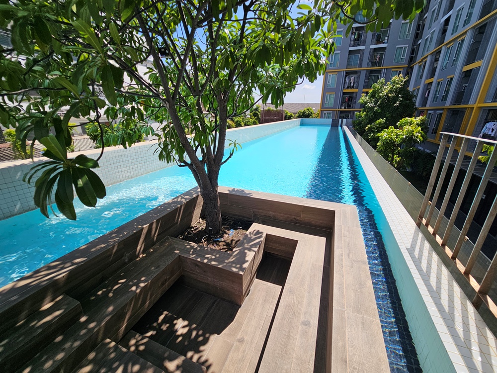 สระ พลัม.jpg