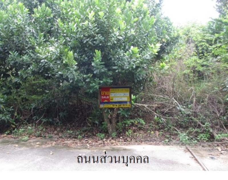 ที่ดิน เขามีเกียรติ  สงขลา