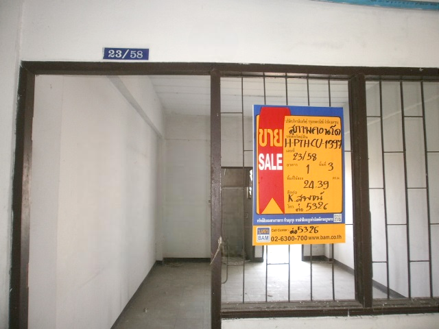 image (12).png