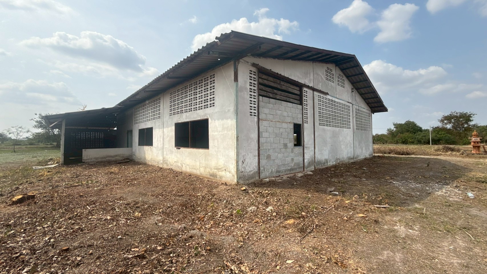 LINE_ALBUM_DESPBFT0100(หลังทำ)_260225_11.jpg