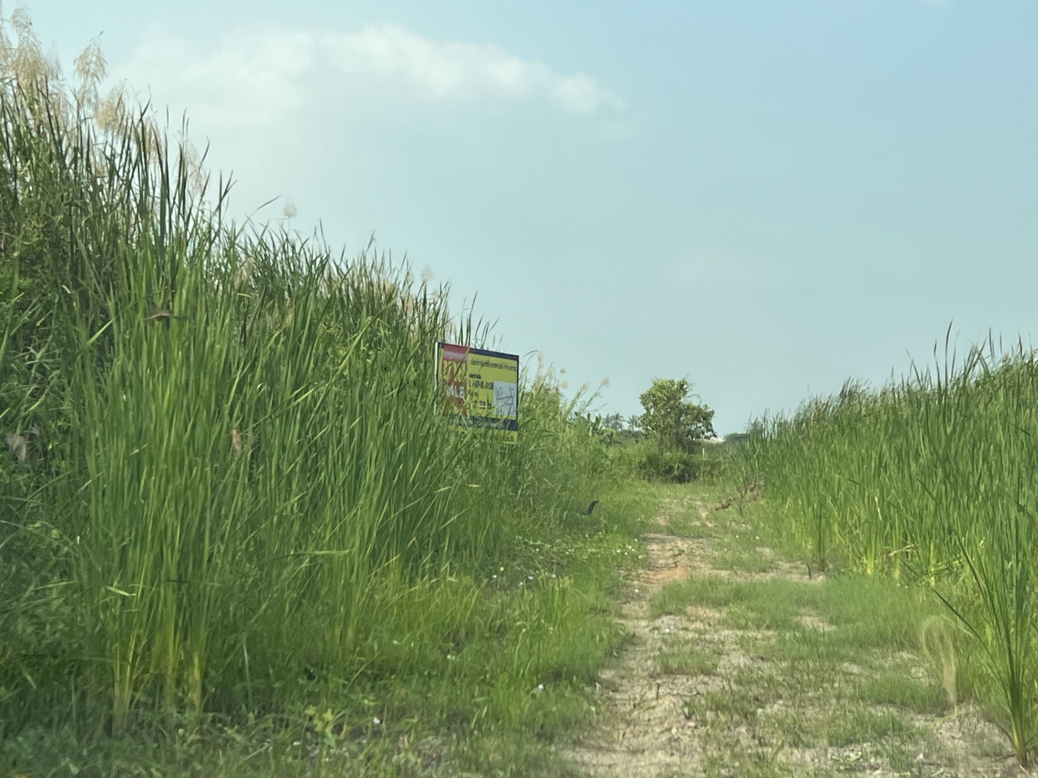 ที่ดิน ท่าตำหนัก(โพธิ์เตี้ย) นครชัยศรี นครปฐม