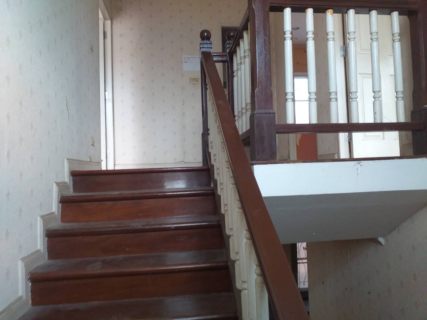 27323.jpg